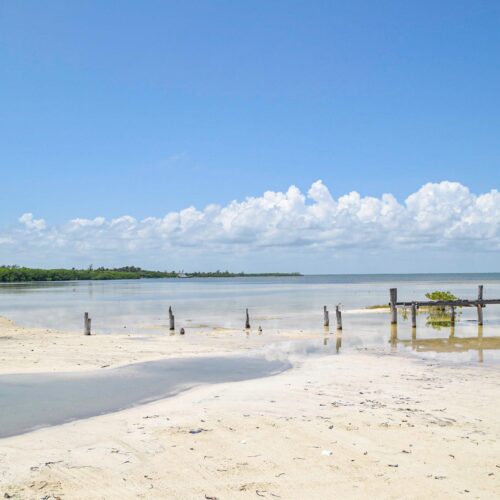 A shot of a ruined dock in Isla Blanca